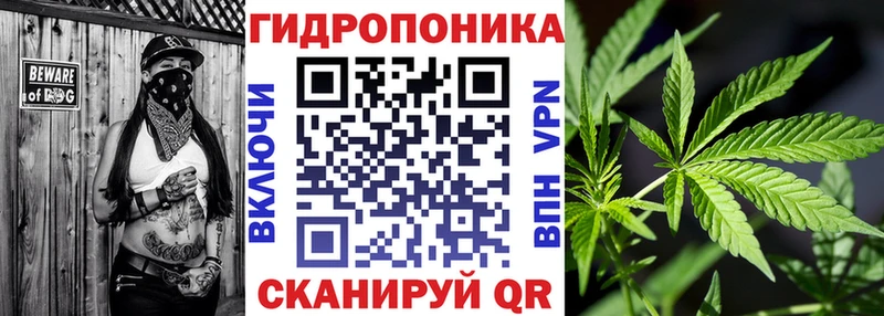 Бошки марихуана гибрид  МЕГА маркетплейс  Аксай 